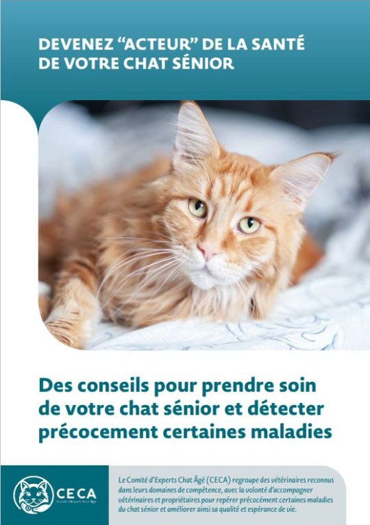 Fiche Education médicale