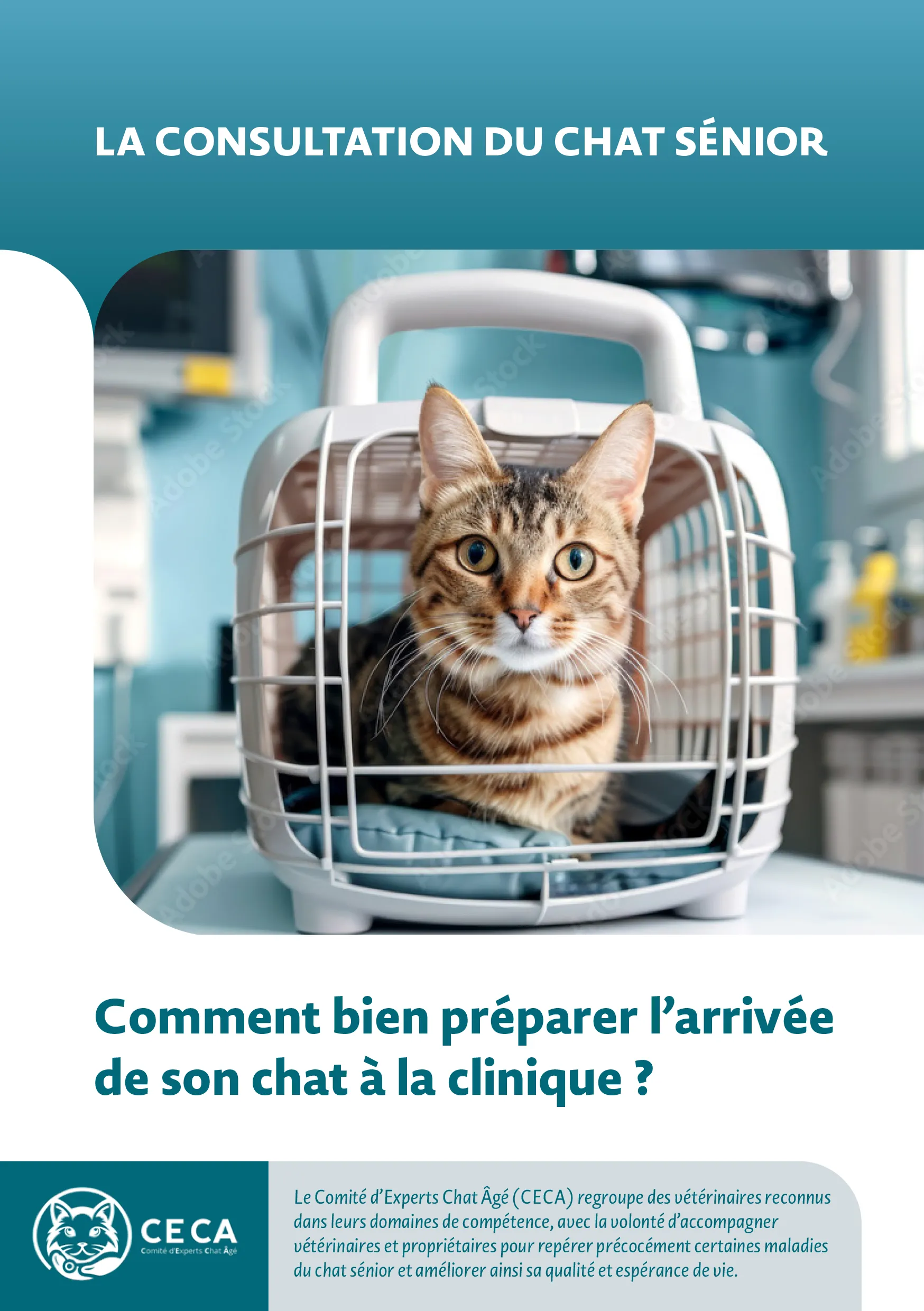 Fiche Propriétaire - La consultation du chat senior