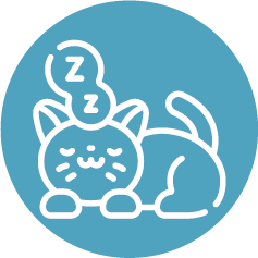 changement de comportement chat