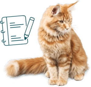 notez les changements observés sur votre chat