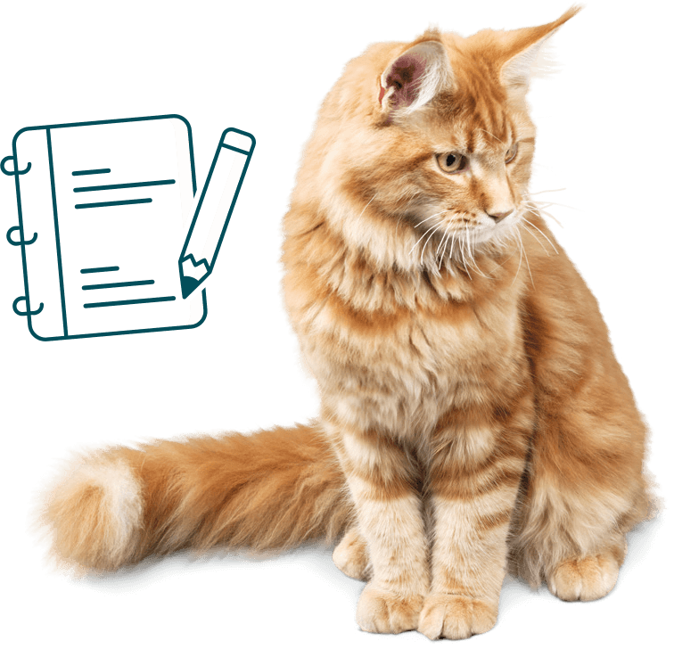 notez les changements observés sur votre chat