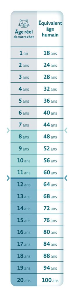 échelle des vieux matous